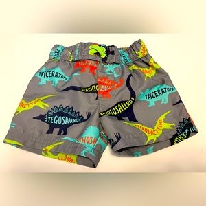 Boy’s Dino Swim Shorts